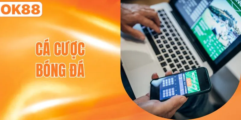 cá cược bóng đá
