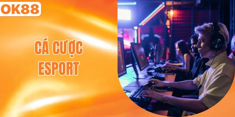 Cá cược Esport