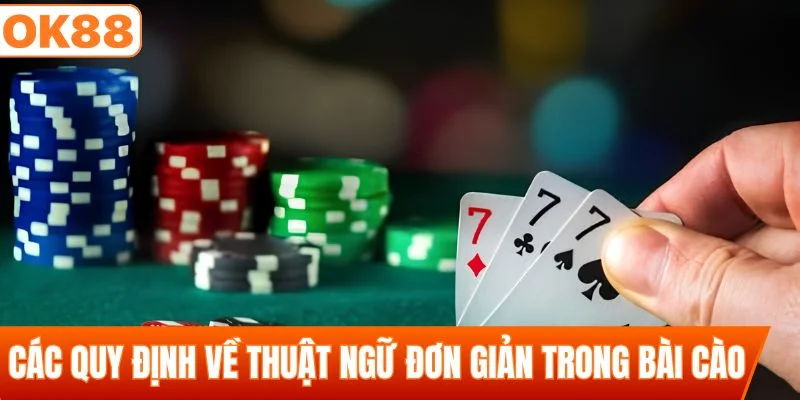 Các quy định về thuật ngữ đơn giản trong bài cào