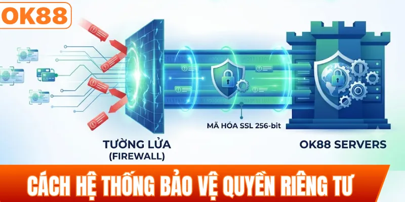 Cách hệ thống bảo vệ quyền riêng tư hội viên