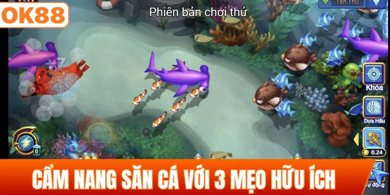Cẩm nang săn cá với 3 mẹo hữu ích