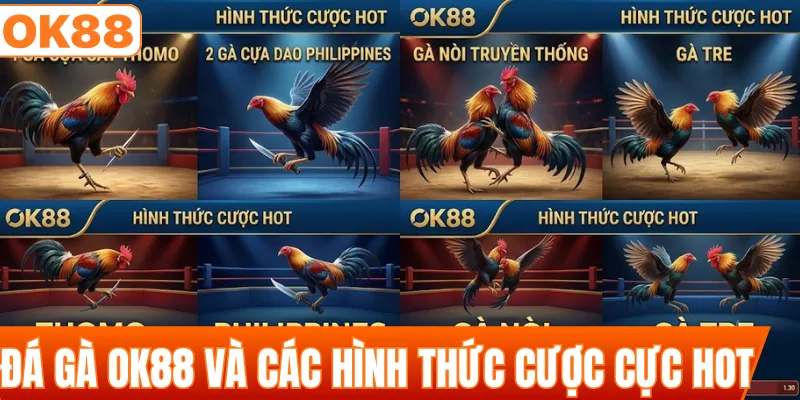 Đá gà OK88 và các hình thức cược cực hot