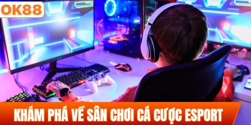 Khám phá khái quát về sân chơi cá cược Esport