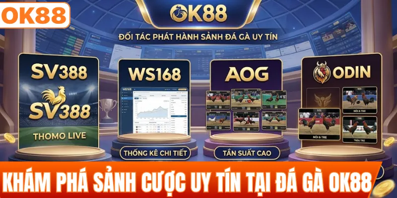 Khám phá sảnh cược uy tín tại đá gà OK88 