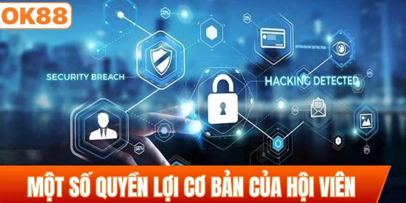 Một số quyền lợi cơ bản của hội viên