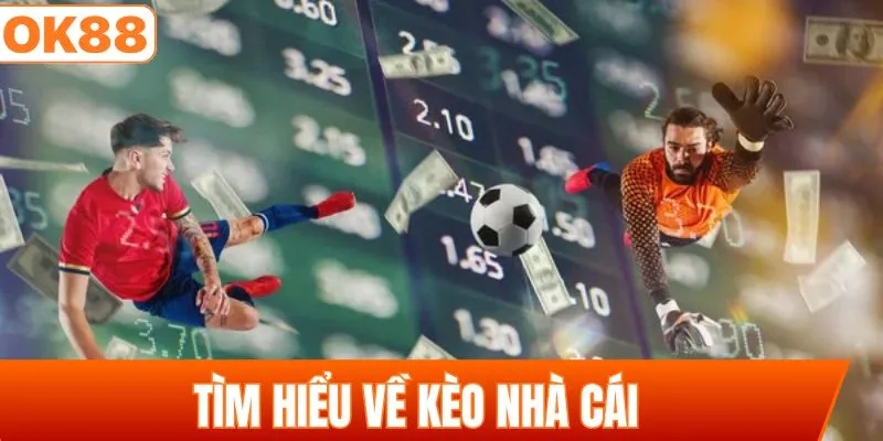 Tìm hiểu về kèo nhà cái